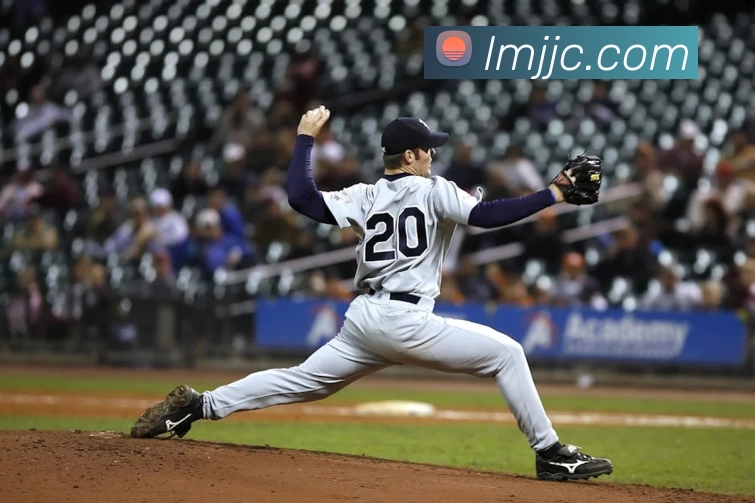 华体会体育发展历程