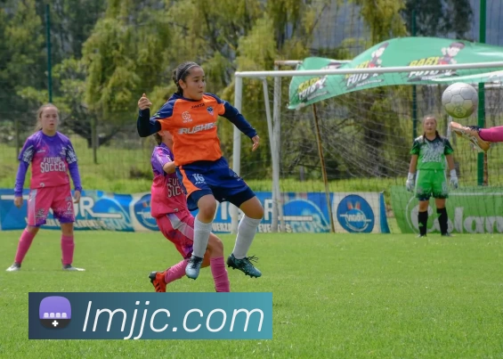 华体会体育APP 封面图